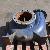 koelwater pomp - erosie - corrosie - cavitatie - voor ARC